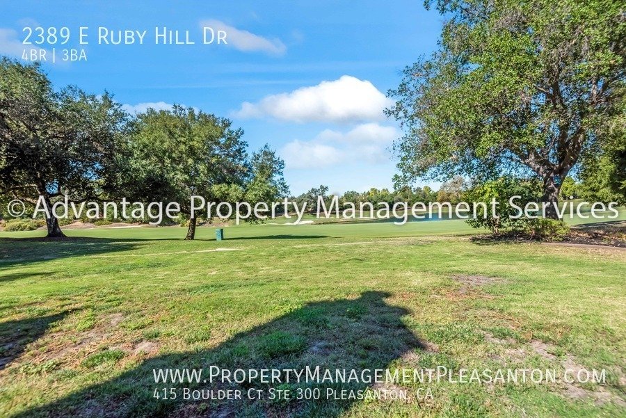 Custom single-story 4 bed, 3 bath, 3113 sq ft home in Ruby Hill property image