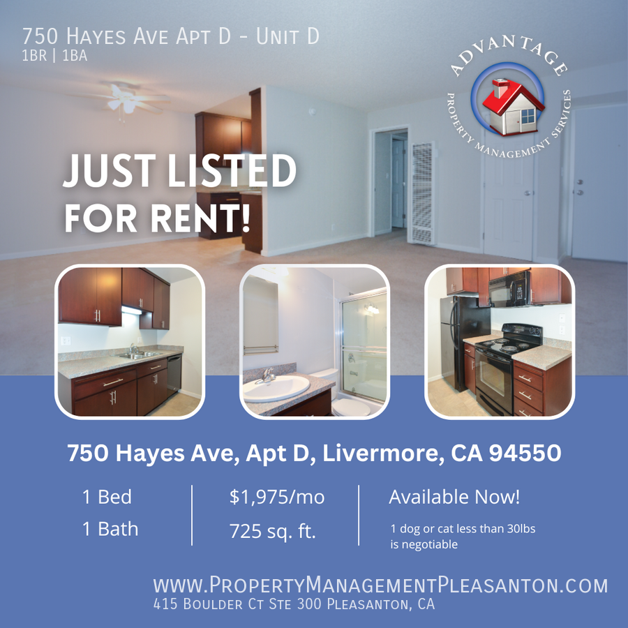 Large 1 bedroom / 1 bath apartment in Livermore property image