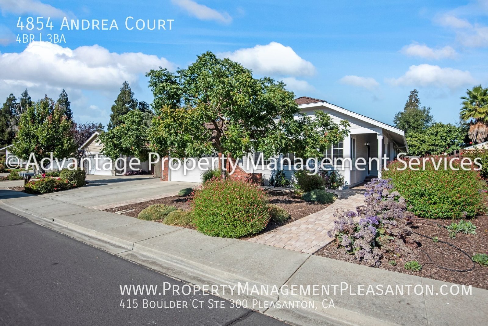 Single Story 4 Bed, 3 Bath, 2,041 sq ft home property image