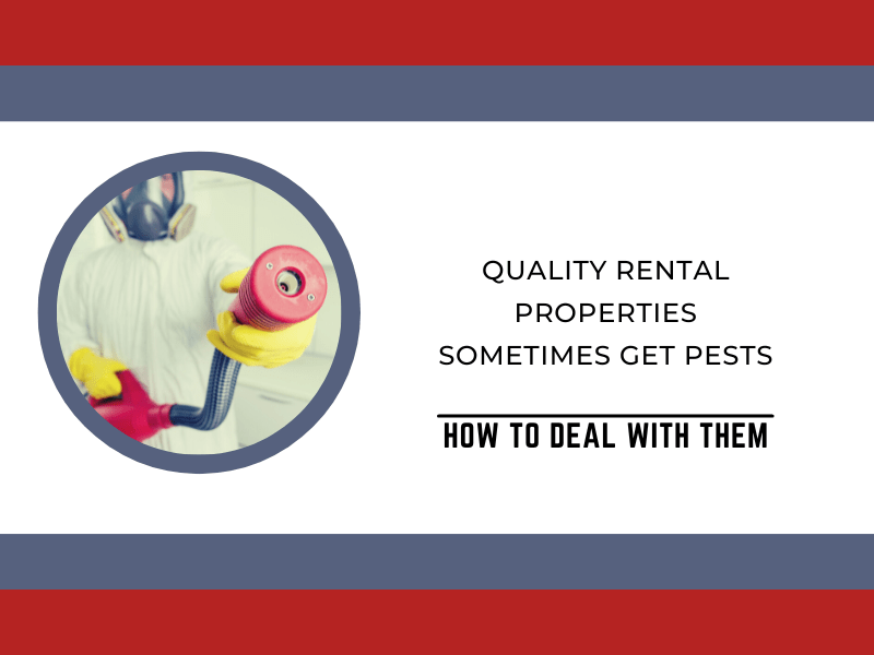 Quality Pleasanton Rental Properties Sometimes Get Pests: How to Deal with Them