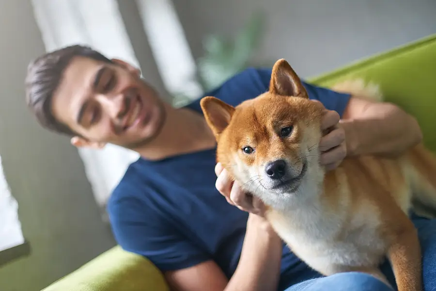 Crafting a Pet Rental Policy: Essential Tips for Pleasanton Landlords